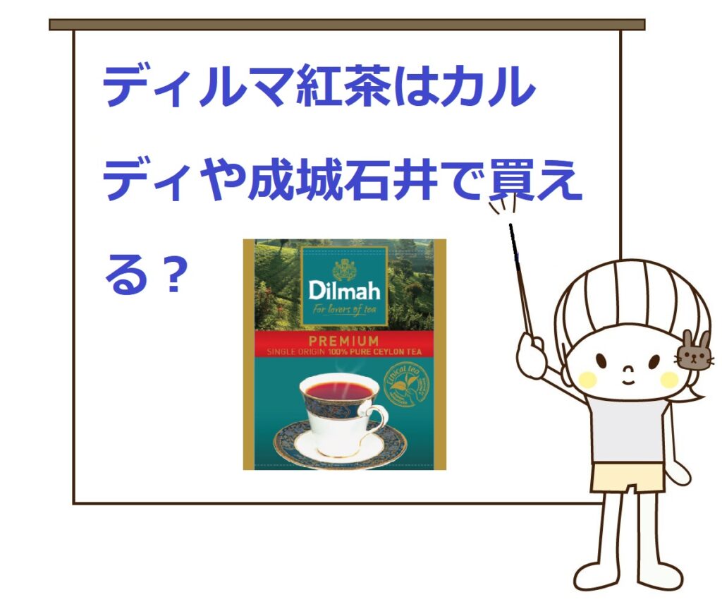 ディルティンのリーフレット